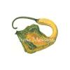 Ornamental Gourd
8 in. x 10 in.